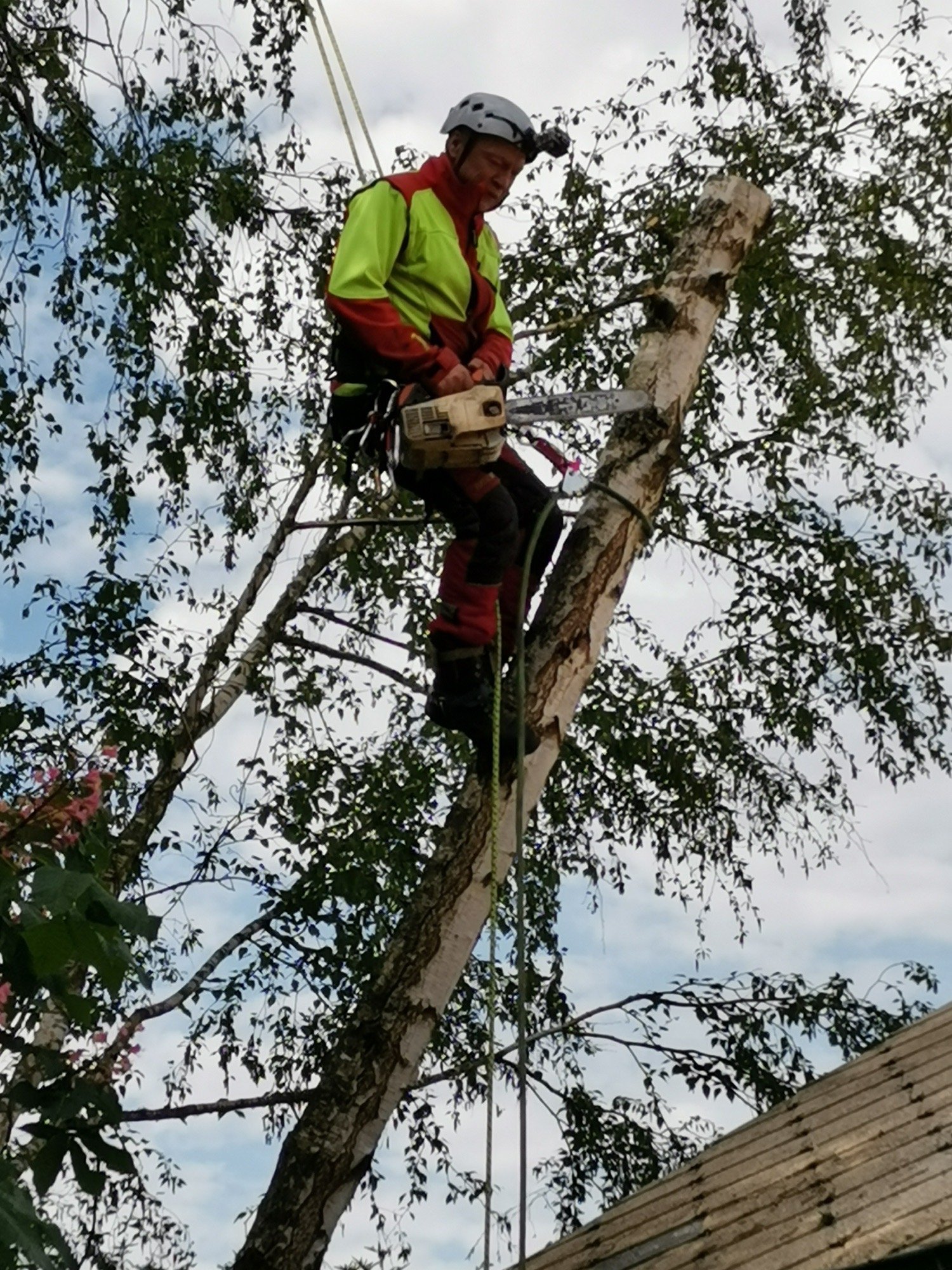 Élagueur équipé au travail dans un arbre