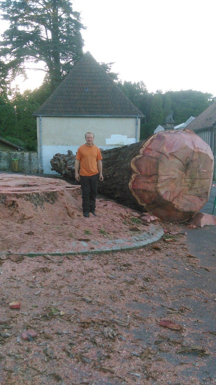 Pierre Gendrel devant un arbre abattu
