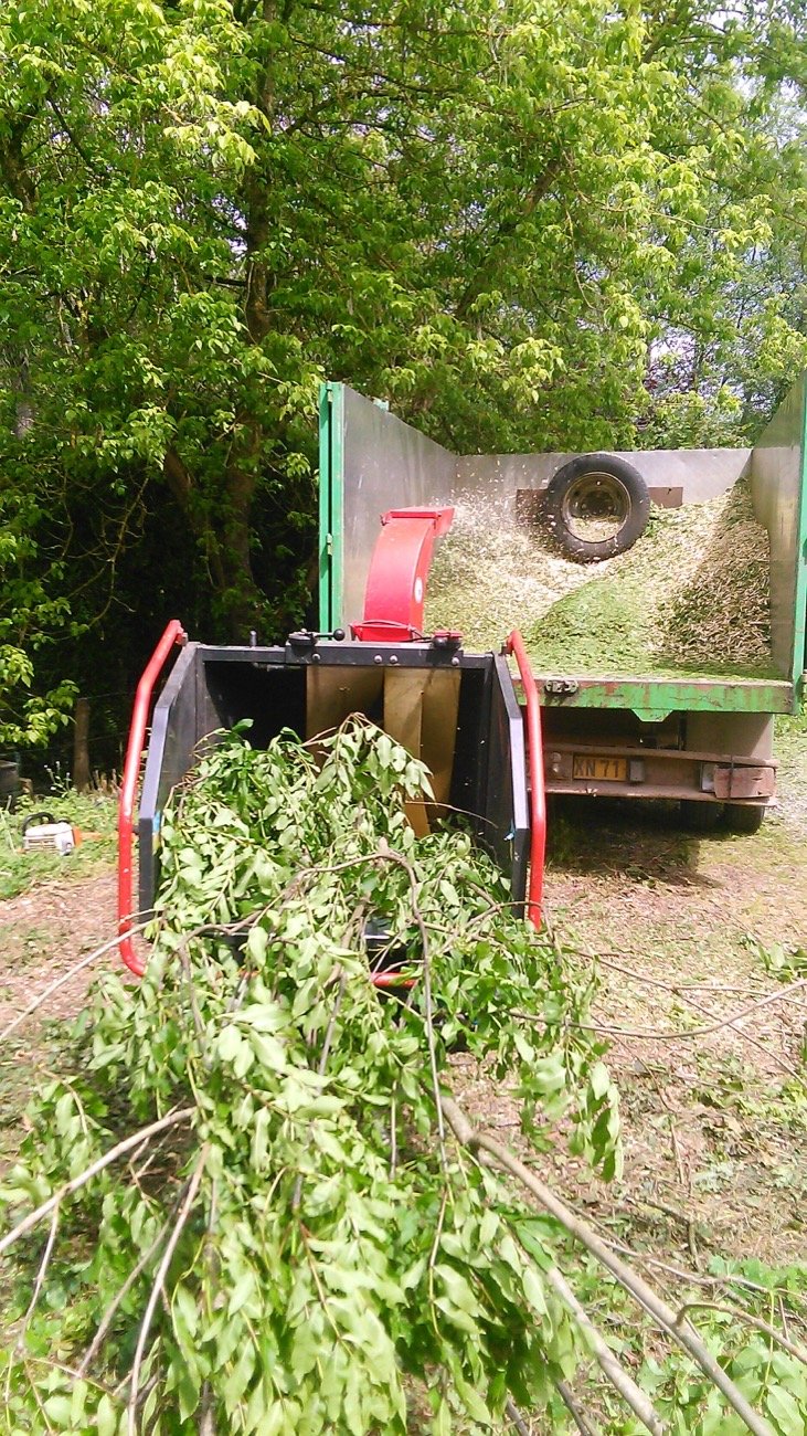 Broyage des branches et évacuation des déchets verts